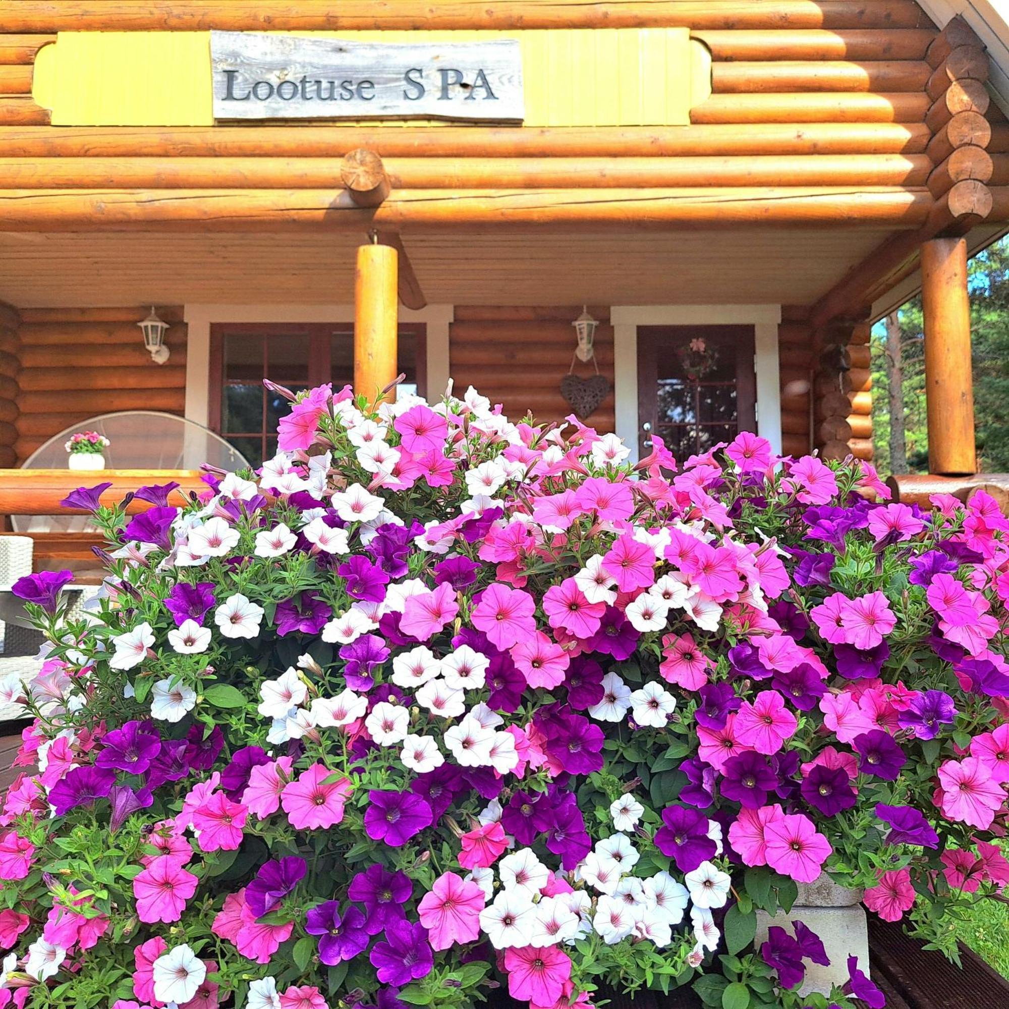 Lootuse Spa Nommemaa Exterior photo